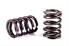 CONICAL VALVE SPRING PKG/2 - image 1