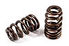 Valve springs - single 1.445/1.095 set/16 - image 1