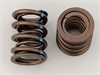 DUAL SPRINGS 99858-99836 - image 1