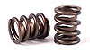 VALVE SPRING 1.460" - image 1
