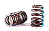 Single Valve Springs Outside Diameter: 1.450" - image 1