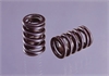 Valve Springs - image 1