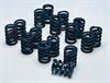 Single Valve Springs Outside Diameter: 1.255" - image 1