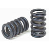 Single Valve Springs Outside Diameter: 1.255" - image 1