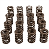 DUAL VALVE SPRING 1.212" - image 1