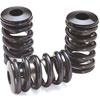 Dual Valve Springs Outside Diameter: 1.460" - image 1