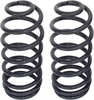 COIL SPRING - image 1