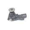 US1137H Water Pump - image 3