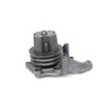 US4072 Water Pump, Ford/International 6.6L & 7.8L Diesel W/ Mounted fan. - image 3