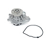 US6184 Water Pump