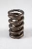 Street Performance Valve Spring Spring OD: 1.260 - image 1