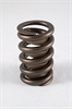 Street Performance Valve Springs Spring OD: 1.260 - image 1