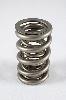 RPM Dual LS Series Valve Springs Spring OD: 1.304 - image 1