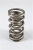 RPM Dual LS Series Valve Springs Spring OD: 1.290 - image 1
