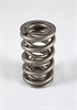 RPM Dual LS Series Valve Spring Spring OD: 1.304