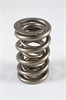 RPM Dual LS Series Valve Spring Spring OD: 1.324 - image 1
