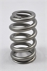 Round Wire Beehive LS Spr - image 1