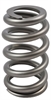 Round Wire Beehive LS Spr - image 1
