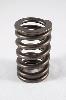 RPM 604 Crate Motor Cheater Valve Springs OD: 1.355