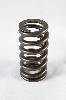 1200 Series Beehive Valve Spring Spring OD: 1.061 - image 1