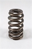 1200 Series Beehive Valve Spring Spring OD: 1.290 - image 1