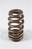 1200 Series Beehive Valve Springs Spring OD: 1.207
