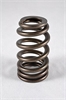 1200 Series Beehive Valve Spring Spring OD: 1.445 - image 1