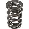 1200 Series Dual Valve Springs Spring OD: 1.550