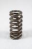 1200 Series Beehive Valve Spring Spring OD: 1.025 - image 1