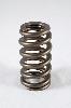 1200 Series Beehive Valve Spring Spring OD: 1.210 - image 1