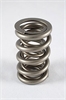 RPM Dual Series Valve Springs Race Only - image 1
