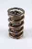 1200 Series Circle Track Valve Springs Spring OD: 1.550