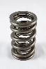 1200 Series Circle Track Valve Spring Spring OD: 1.550