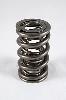 1200 Series Circle Track Valve Spring Spring OD: 1.550 - image 1