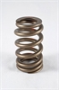 1200 Series Beehive Valve Spring Spring OD: 1.250 - image 1
