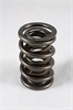 1200 Series Circle Track Valve Spring Spring OD: 1.539 - image 1