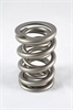 1300 Series Dual Valve Spring Spring OD: 1.625 - image 1