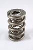 1300 Series Dual Valve Springs Spring OD: 1.550 - image 1