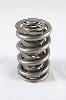 1300 Series Dual Valve Springs Spring OD: 1.550 - image 1