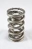 1300 Series Dual Valve Springs Spring OD: 1.574 - image 1