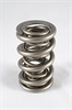 1300 Series Triple Valve Spring Spring OD: 1.645 - image 1