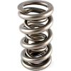 Dual Drag Race Valve Spring Spring OD: 1.536 - image 1