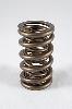 1300 Series Dual Valve Spring Spring OD: 1.374 - image 1