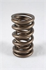 1300 Series Dual Valve Springs Spring OD: 1.374 - image 1