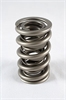 1300 Series Dual Valve Spring Spring OD: 1.564 - image 1