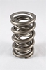 1300 Series Dual Valve Spring Spring OD: 1.564 - image 1