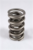 1300 Series Dual Valve Springs Spring OD: 1.574