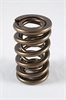Dual LS1 Spring - Nitride - image 1