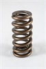 1500 Series Beehive Valve Springs Spring OD: 1.025 - image 1