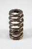 1500 Series Beehive Valve Springs Spring OD: 1.210 - image 1